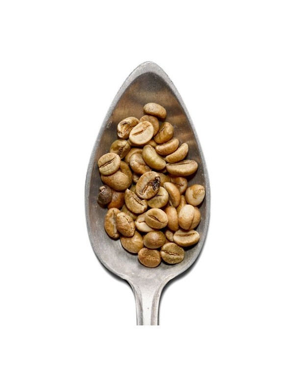 Privato: Caffè Verde India Cherry AA18