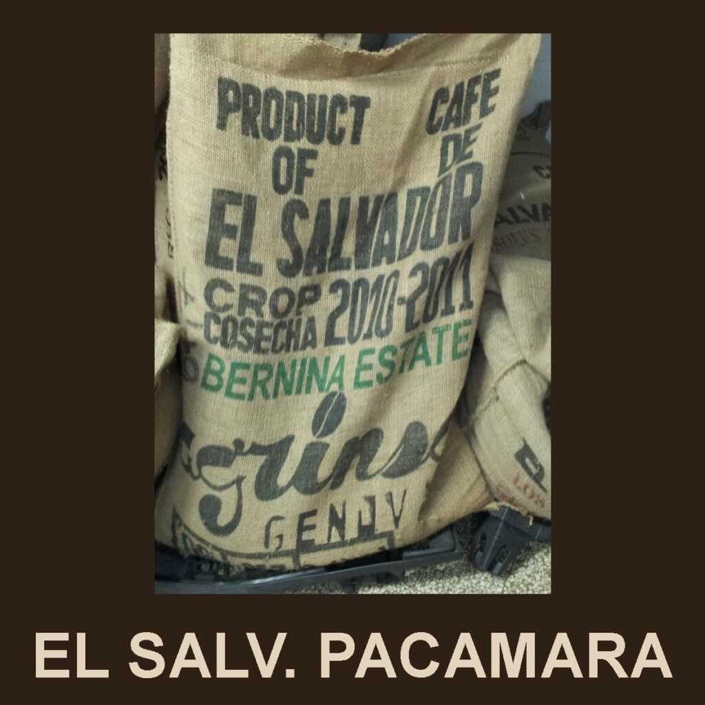 Privato: Caffè Verde El Salvador Pacamara